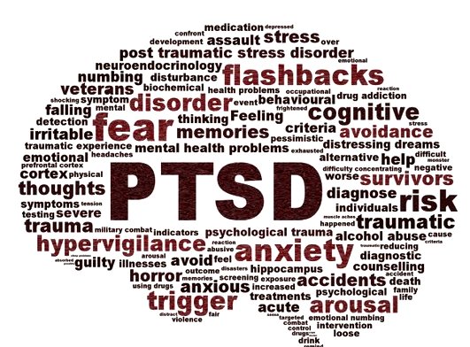 Help Us Spread The Message Of PTSD Awareness!!